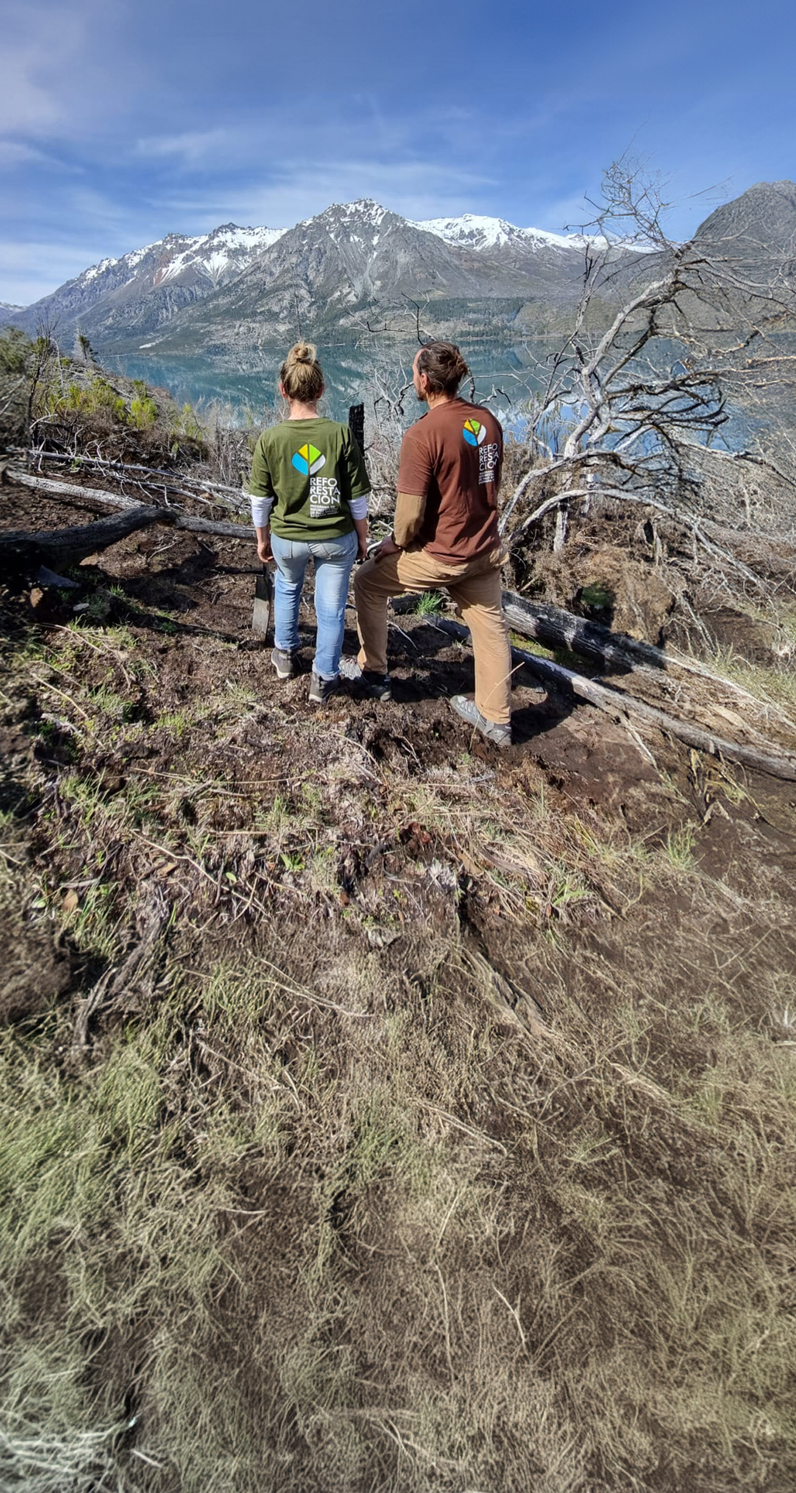 ReforestArg Image